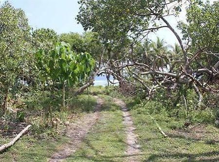 Alofa Beach Bungalows Lénakel Eksteriør billede