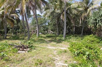 Alofa Beach Bungalows Lénakel Eksteriør billede